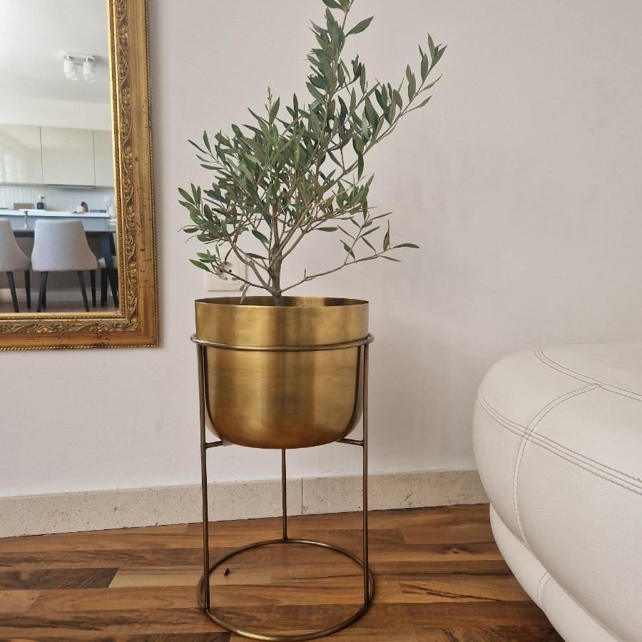 Homa Pensión 4*